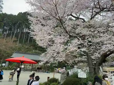 高麗神社のその他建物