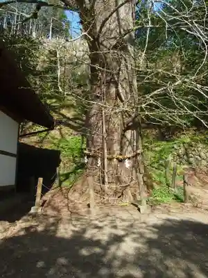 天河大辨財天社(奈良県)