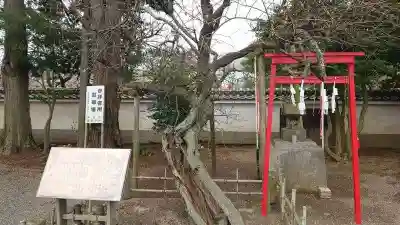 弘道館鹿島神社(茨城県)