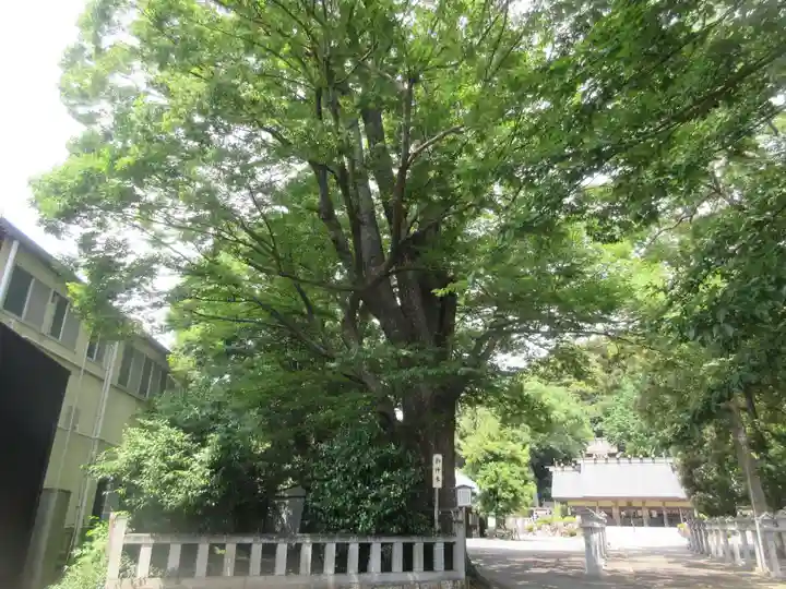 濱名惣社神明宮(静岡県)