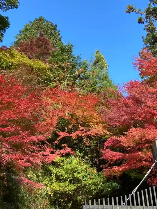 柳谷観音 楊谷寺(京都府)
