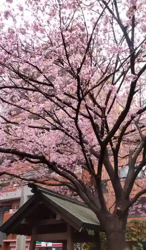 蔵前神社(東京都)