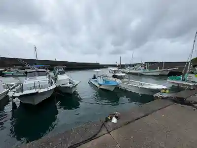 恵比須神社(高知県)