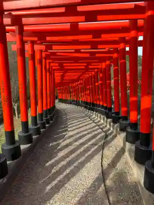 高山稲荷神社の{uncategorized: "未分類", other: "その他", undefined: "問題あり", building: "その他建物", grave: "お墓", sacred_gate: "鳥居", guardian: "狛犬", statue: "像", buddha: "仏像", history: "歴史", nature: "自然", garden: "庭園", animal: "動物", pagoda: "塔", temizu: "手水舎", mountain_gate: "山門・神門", sanctuary: "本殿・本堂", subordinate: "末社・摂社", art: "芸術", scenery: "景色", jizo: "地蔵", ema: "絵馬", goshuin: "御朱印", omikuji: "おみくじ", items: "授与品その他", amulet: "お守り", goshuincho: "御朱印帳", eats: "食事", festival: "お祭り", votive_dance: "神楽", shichigosan: "七五三参", wedding: "結婚式", experience: "体験その他", initially: "初詣", around: "周辺", anti_infection: "感染症対策"}