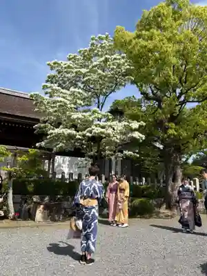 伏見稲荷大社(京都府)