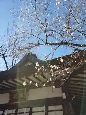 馬橋稲荷神社(東京都)