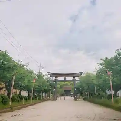 尾張大國霊神社(国府宮)の鳥居