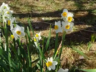 法音寺(大分県)
