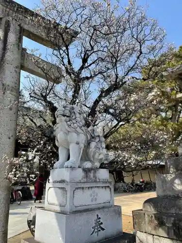 北野天満宮の狛犬