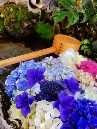 本郷氷川神社(東京都)