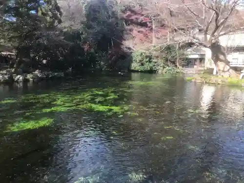 富士山本宮浅間大社(静岡県)