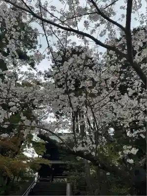 円覚寺(神奈川県)
