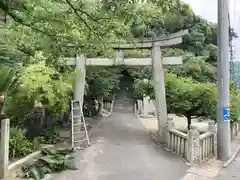 金刀比羅神社(愛媛県)