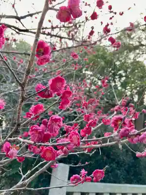野田八幡宮(愛知県)