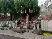 十楽寺(徳島県)