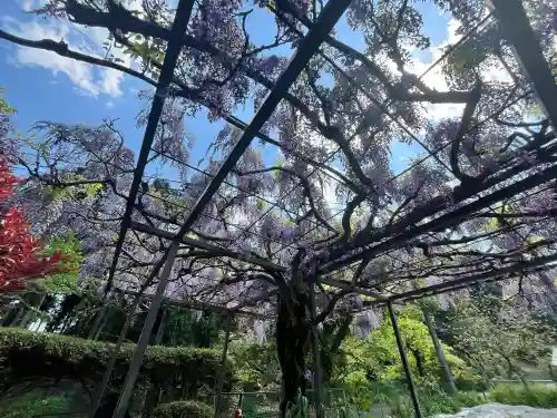 天台宗 五大山 白毫寺(兵庫県)