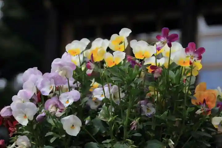 高司神社〜むすびの神の鎮まる社〜の授与品その他