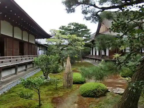 大覚寺の庭園