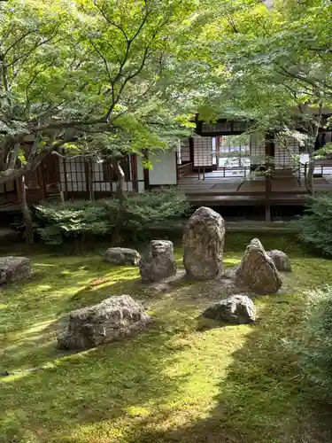 建仁寺（建仁禅寺）(京都府)