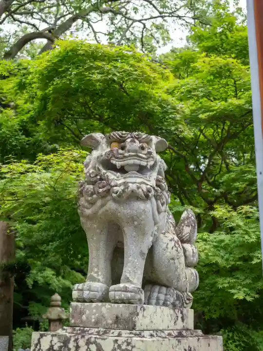 宮地嶽神社(福岡県)