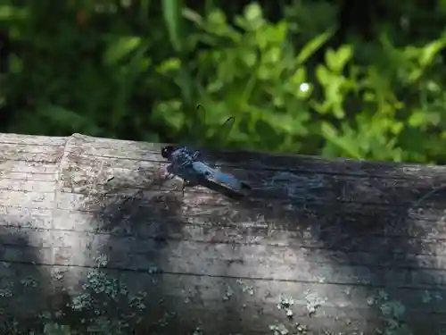 石山寺(滋賀県)