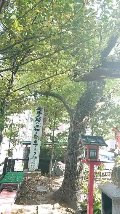 若一神社の{uncategorized: "未分類", other: "その他", undefined: "問題あり", building: "その他建物", grave: "お墓", sacred_gate: "鳥居", guardian: "狛犬", statue: "像", buddha: "仏像", history: "歴史", nature: "自然", garden: "庭園", animal: "動物", pagoda: "塔", temizu: "手水舎", mountain_gate: "山門・神門", sanctuary: "本殿・本堂", subordinate: "末社・摂社", art: "芸術", scenery: "景色", jizo: "地蔵", ema: "絵馬", goshuin: "御朱印", omikuji: "おみくじ", items: "授与品その他", amulet: "お守り", goshuincho: "御朱印帳", eats: "食事", festival: "お祭り", votive_dance: "神楽", shichigosan: "七五三参", wedding: "結婚式", experience: "体験その他", initially: "初詣", around: "周辺", anti_infection: "感染症対策"}