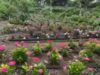 二本松寺の自然