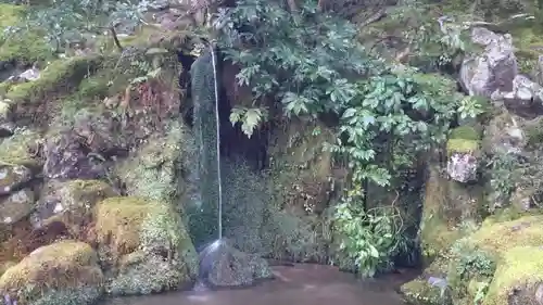 慈照寺（慈照禅寺・銀閣寺）の庭園