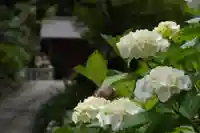 葛原岡神社(神奈川県)