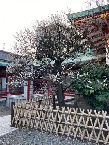 日枝神社の本殿・本堂