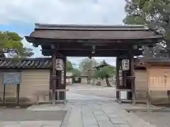 東寺（教王護国寺）の山門