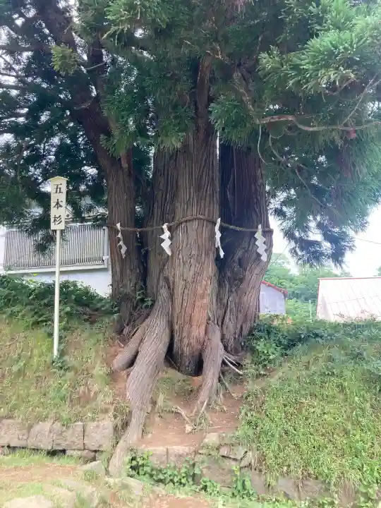 岩木山神社(青森県)