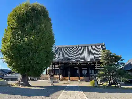 法蔵寺(滋賀県)