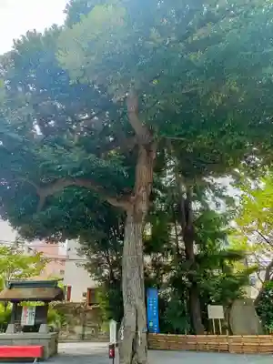 七社神社(東京都)