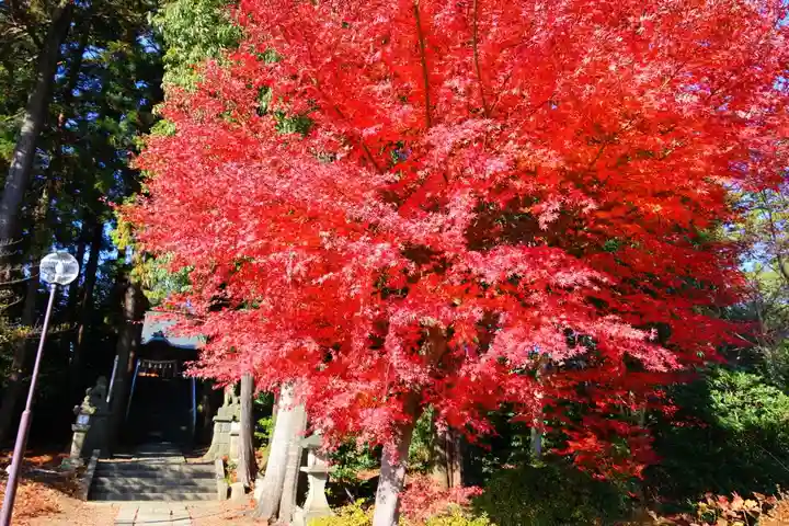 豊景神社の景色