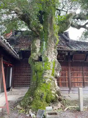 浄福寺(京都府)