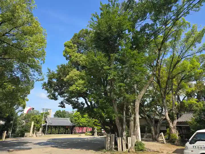 大江神社の自然