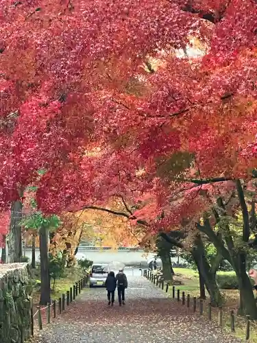 南禅寺(京都府)