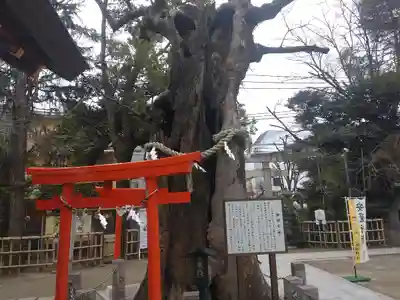 新田神社(東京都)