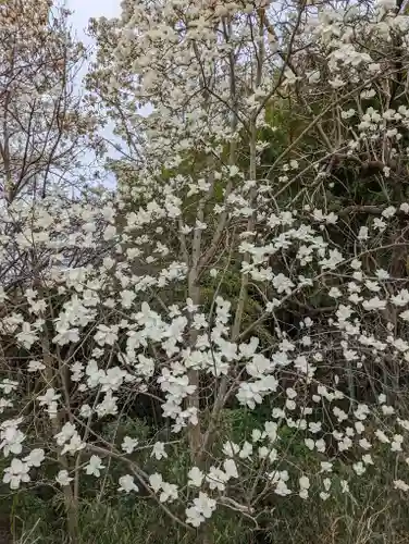 正法寺(京都府)