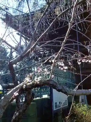 妙法寺(東京都)