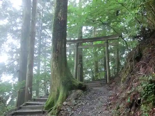 玉置神社の鳥居