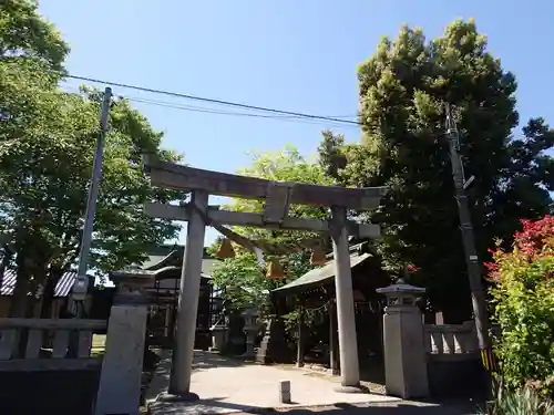 野間神社の鳥居