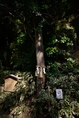 高瀧神社(千葉県)