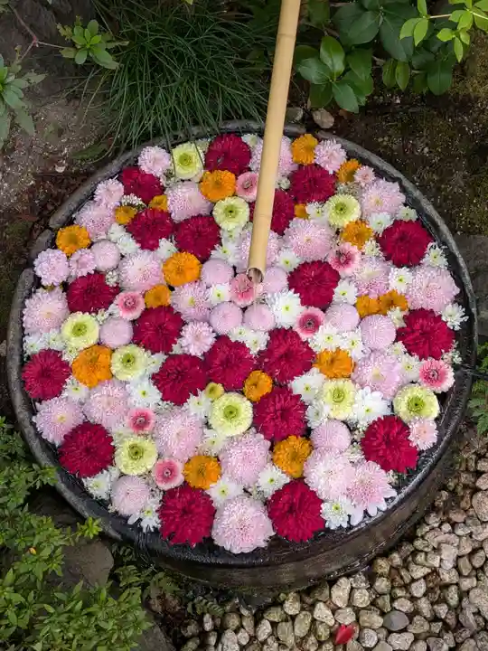 心行寺(東京都)