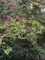常盤神社(山口県)