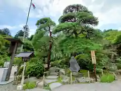 宝登山神社(埼玉県)