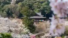 長谷寺の景色