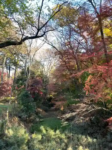 武田神社の庭園