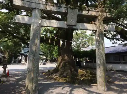 須賀神社(福岡県)